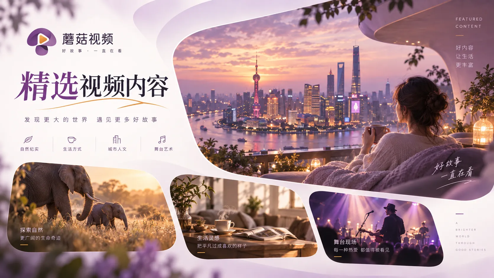 蘑菇视频在线观看内容目录